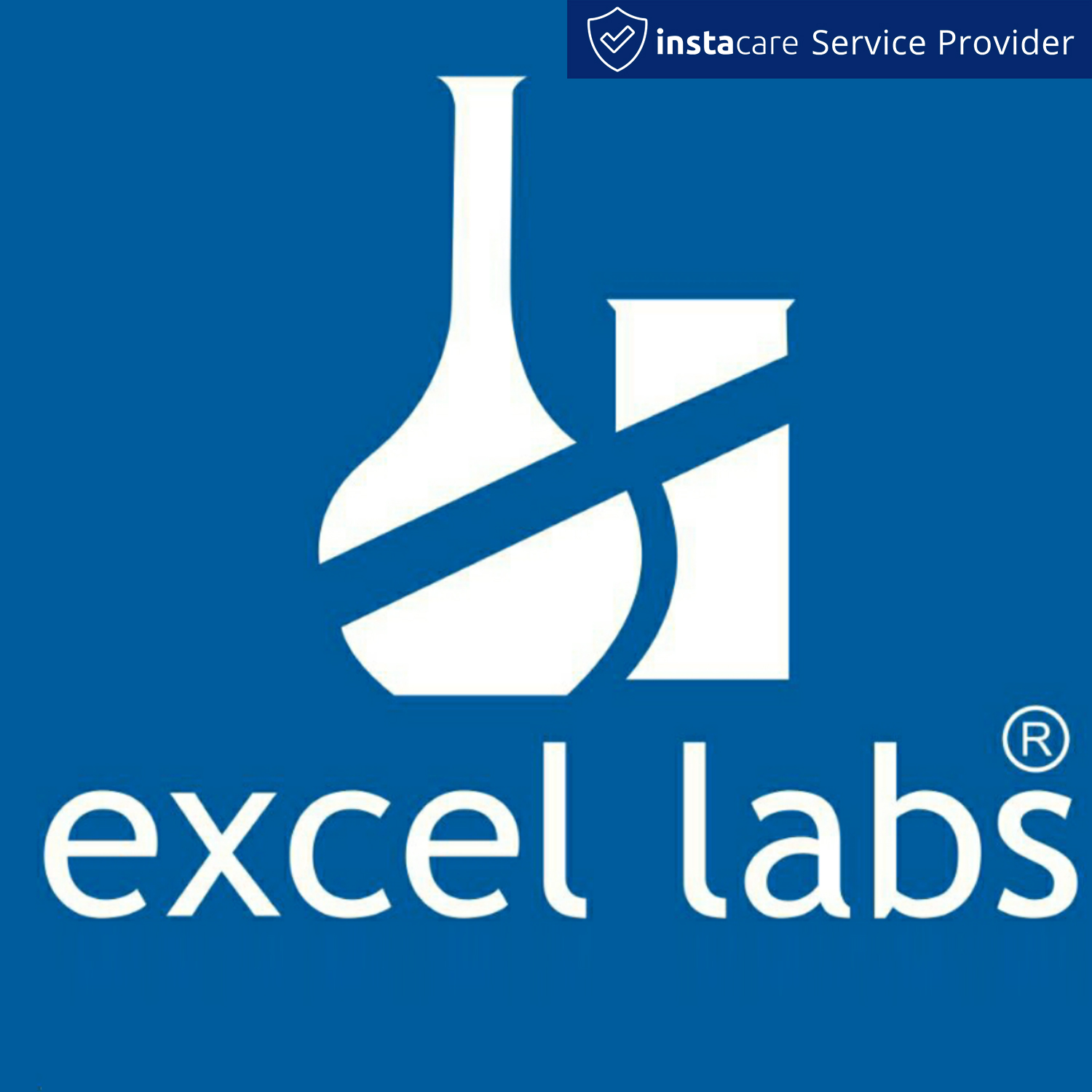 Excel Lab